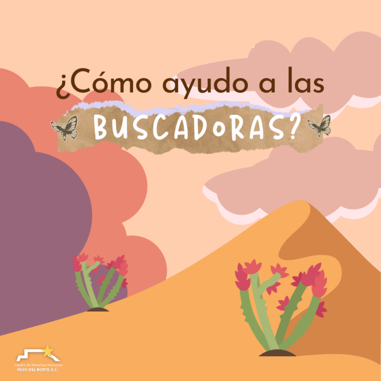 ¿Cómo ayudar a las buscadoras?