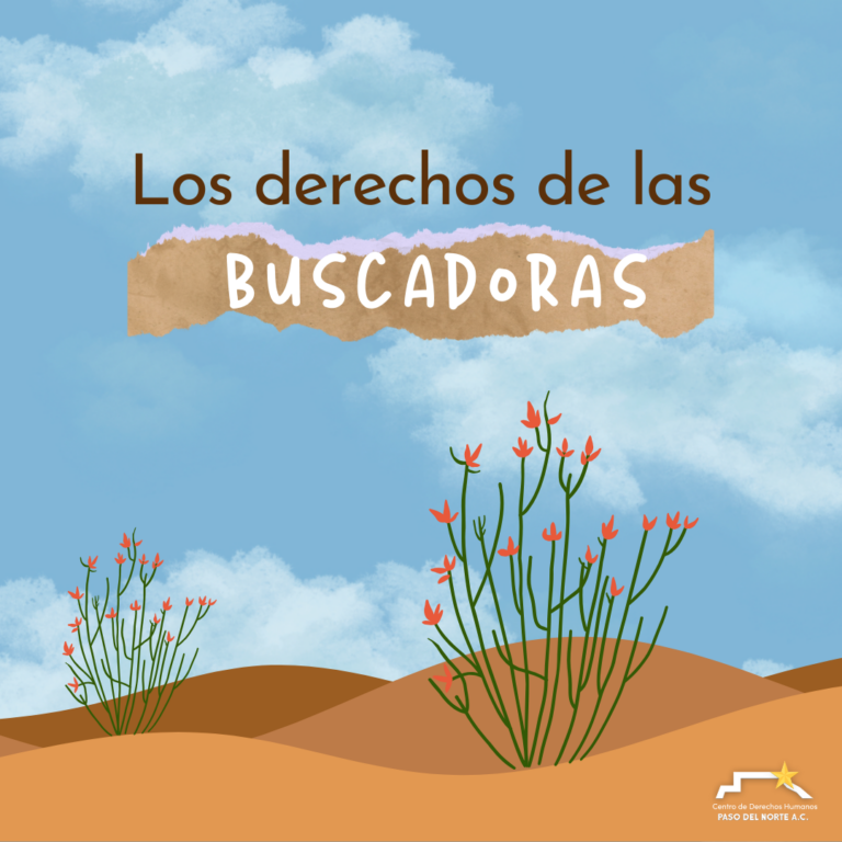 Los derechos de las buscadoras